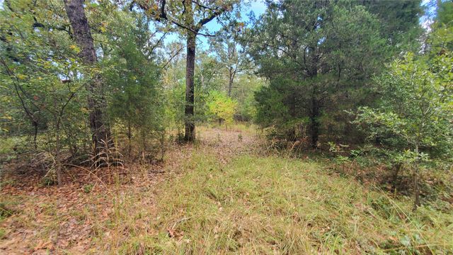 0 Apache Trail, Log Cabin, TX 75148