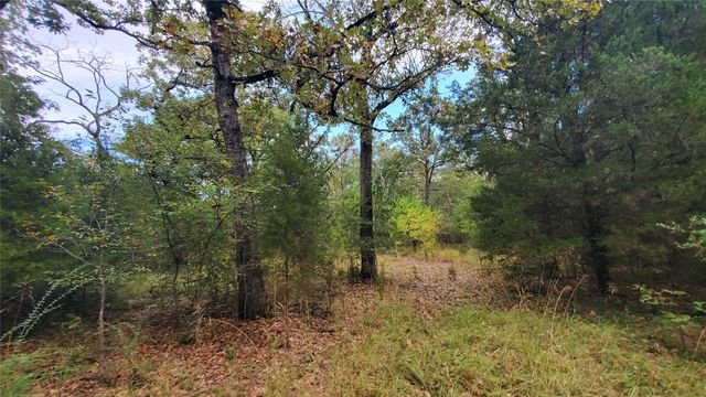 0 Apache Trail, Log Cabin, TX 75148