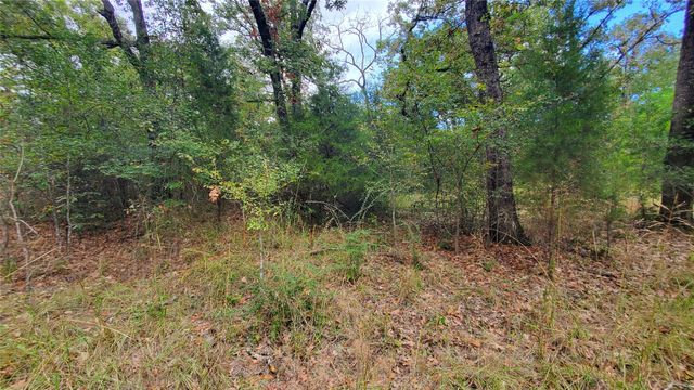 0 Apache Trail, Log Cabin, TX 75148