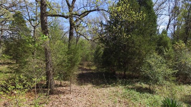 0 Apache Trail, Log Cabin, TX 75148