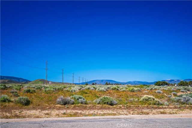 0 La Petite, Fairmont, CA 93536