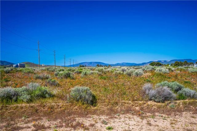 0 La Petite, Fairmont, CA 93536