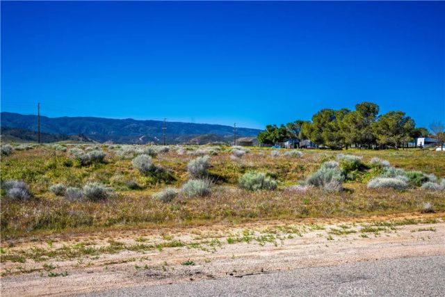 0 La Petite, Fairmont, CA 93536