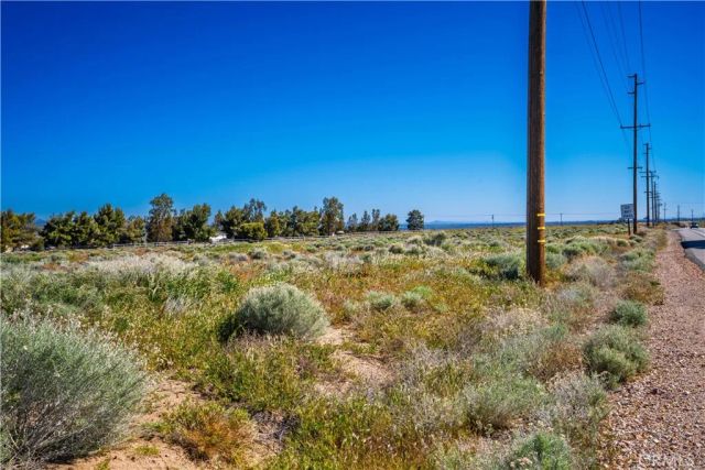 0 La Petite, Fairmont, CA 93536