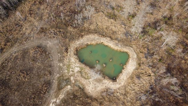 1735 Highway 15, Saint George, SC 29477