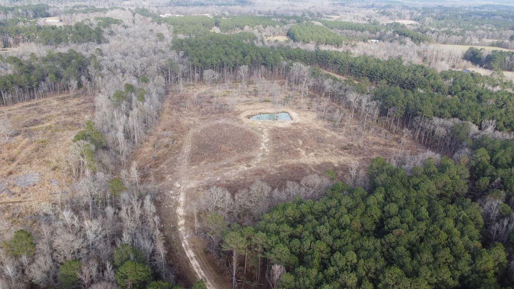 Image 8 of property listing at 1735 Highway 15, Saint George, SC 29477