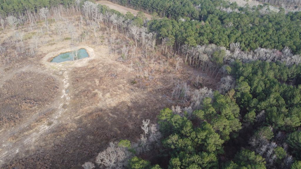 Image 9 of property listing at 1735 Highway 15, Saint George, SC 29477