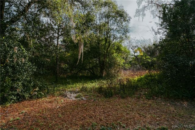 4836 E Fordham Place, Hernando, FL 34442