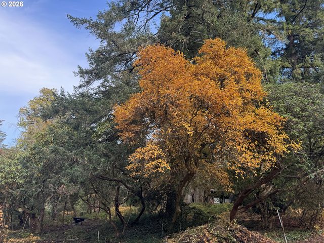 Sw 16TH Dr, Portland, OR 97219