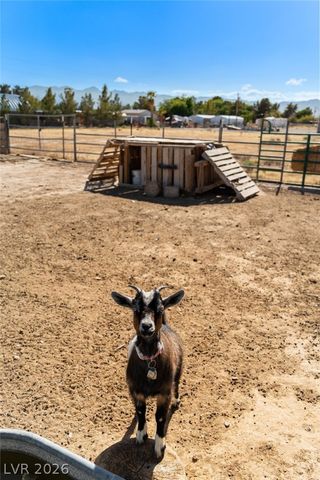 3461 Paiute Boulevard, Pahrump, NV 89061
