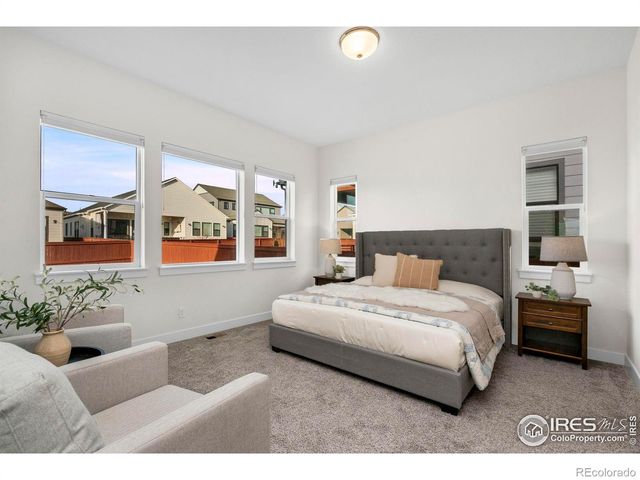 1876 Blossom Grove Drive, Windsor, CO 80550