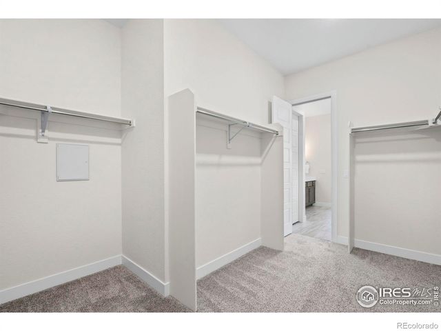 1876 Blossom Grove Drive, Windsor, CO 80550