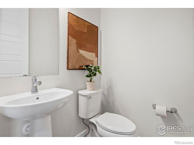 1876 Blossom Grove Drive, Windsor, CO 80550