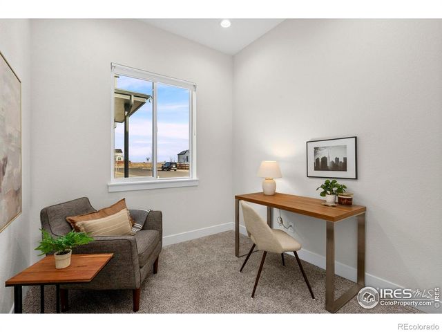 1876 Blossom Grove Drive, Windsor, CO 80550