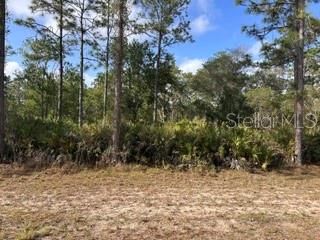 1013 (BLK 299 LOT 18) ALBA DRIVE, Indian Lake Estates, FL 33855