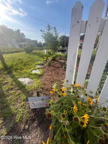 1409 Wooster Street, Wilmington, NC 28401