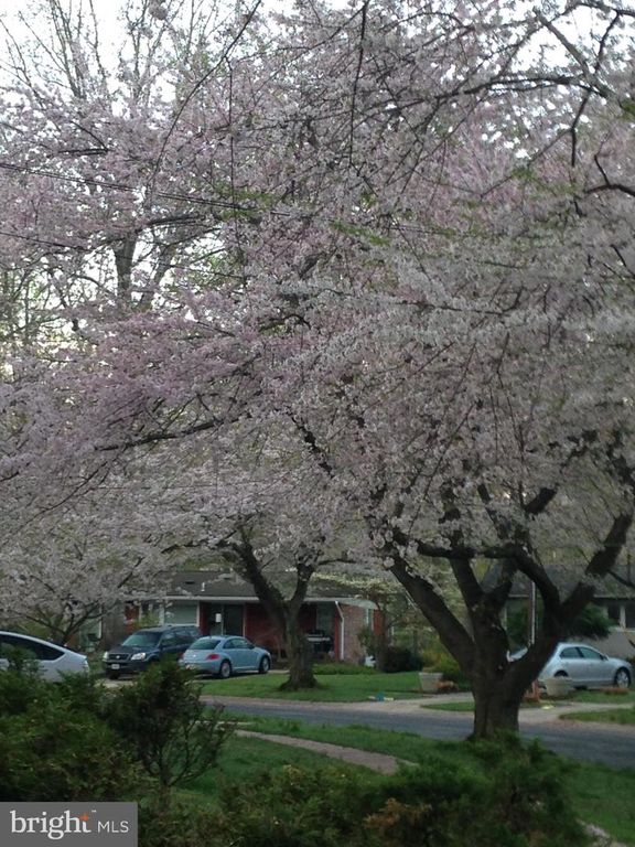 3941 RICKOVER RD, Silver Spring, MD 20902