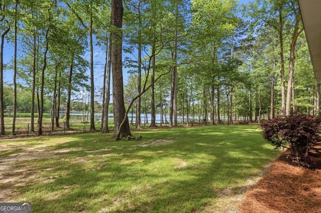 1044 Lewis Mill Lake Road, Vienna, GA 31092