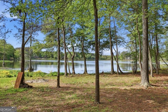 1044 Lewis Mill Lake Road, Vienna, GA 31092
