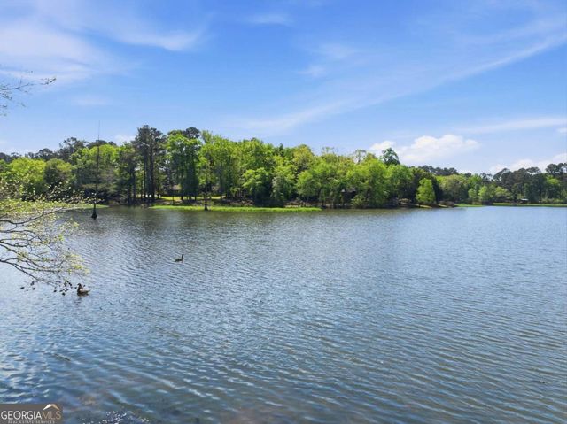 1044 Lewis Mill Lake Road, Vienna, GA 31092