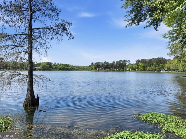 1044 Lewis Mill Lake Road, Vienna, GA 31092