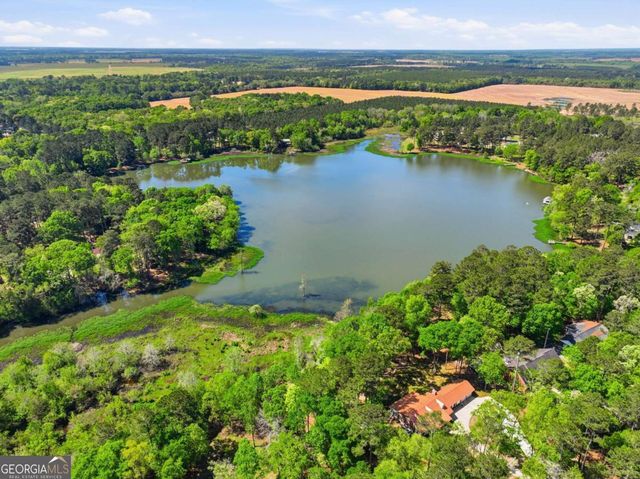 1044 Lewis Mill Lake Road, Vienna, GA 31092