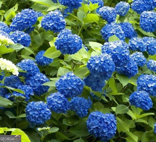 1071 Waterford Court, Watkinsville, GA 30677