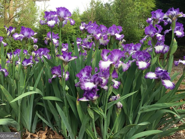 1071 Waterford Court, Watkinsville, GA 30677