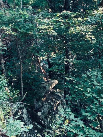 0 Preservation Drive, Lot 6, South Pittsburg, TN 37380