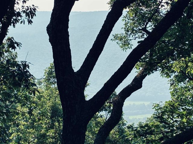 0 Preservation Drive, Lot 6, South Pittsburg, TN 37380