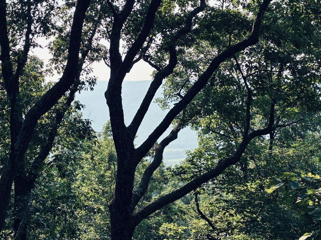0 Preservation Drive, Lot 6, South Pittsburg, TN 37380