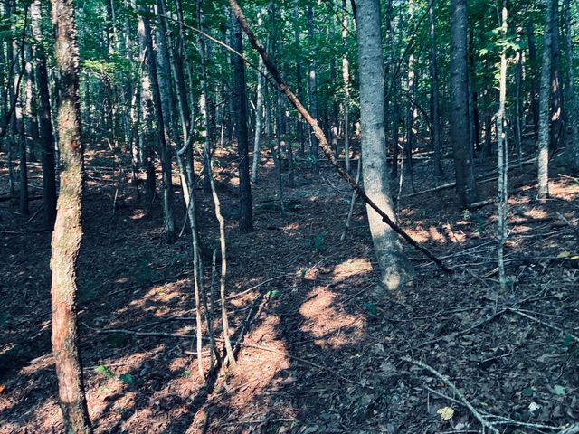 0 Preservation Drive, Lot 6, South Pittsburg, TN 37380