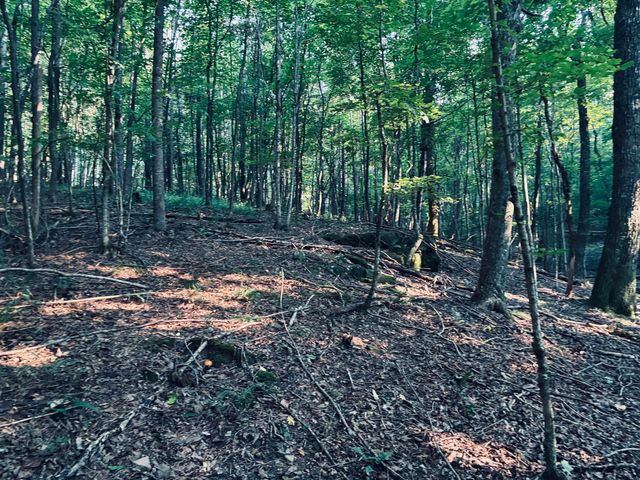 0 Preservation Drive, Lot 6, South Pittsburg, TN 37380