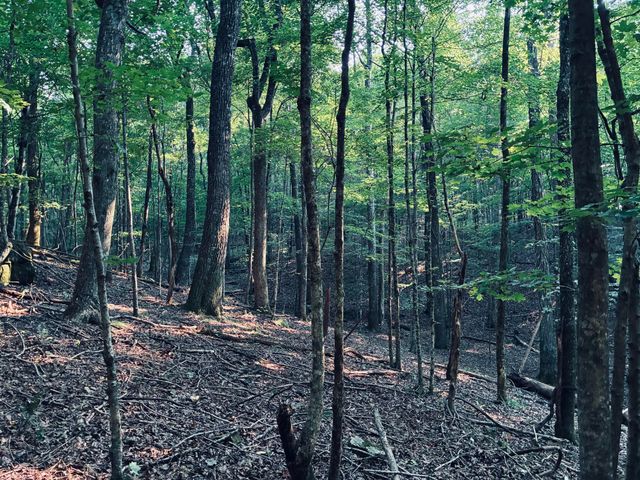 0 Preservation Drive, Lot 6, South Pittsburg, TN 37380