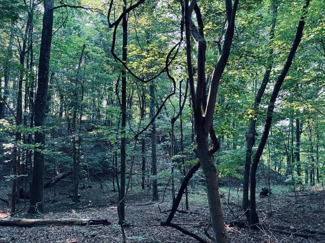 0 Preservation Drive, Lot 6, South Pittsburg, TN 37380