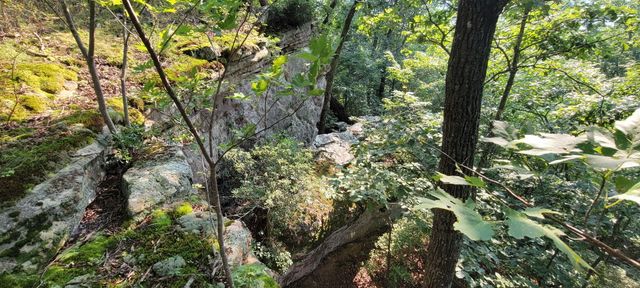 0 Preservation Drive, Lot 6, South Pittsburg, TN 37380