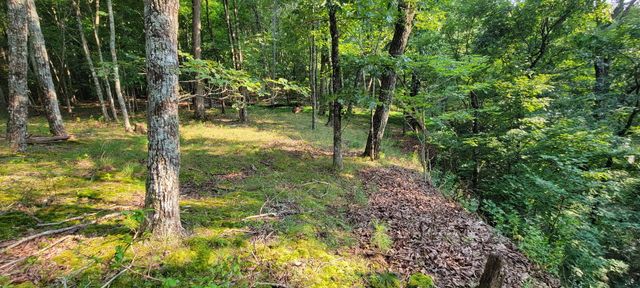 0 Preservation Drive, Lot 6, South Pittsburg, TN 37380