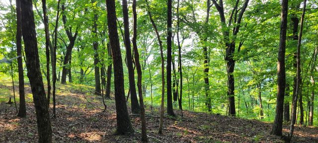 0 Preservation Drive, Lot 6, South Pittsburg, TN 37380
