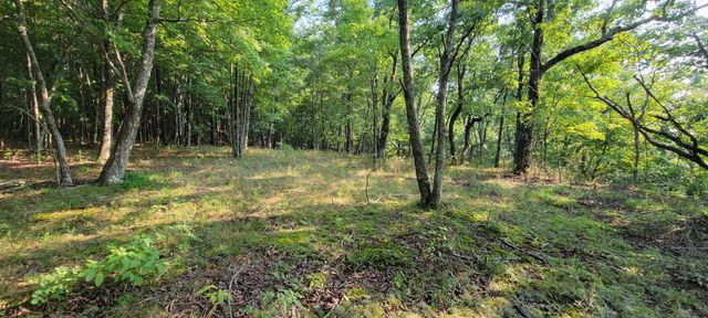 0 Preservation Drive, Lot 6, South Pittsburg, TN 37380