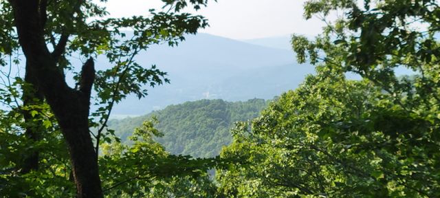 0 Preservation Drive, Lot 6, South Pittsburg, TN 37380