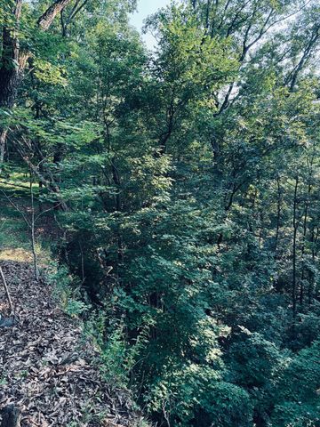 0 Preservation Drive, Lot 6, South Pittsburg, TN 37380