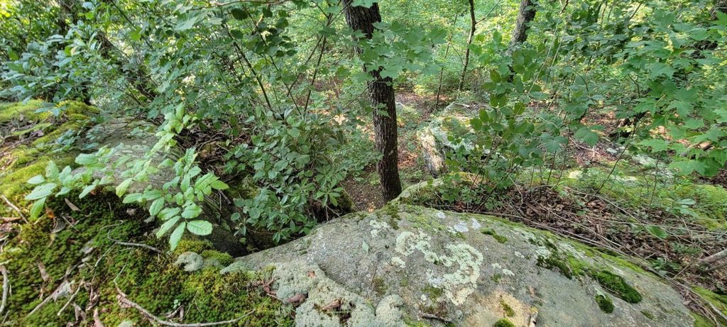 0 Preservation Drive, Lot 6, South Pittsburg, TN 37380