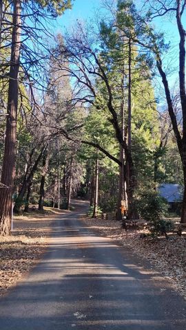 594 Loop Drive, Camp Nelson, CA 93265