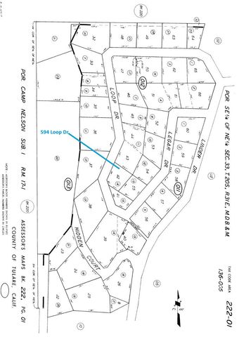 594 Loop Drive, Camp Nelson, CA 93265