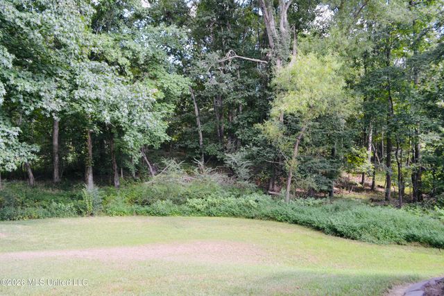 3292 Big Ben, Hernando, MS 38632