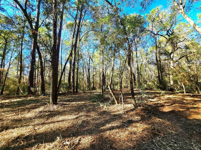 28046 Crossway Oaks, Magnolia, TX 77355