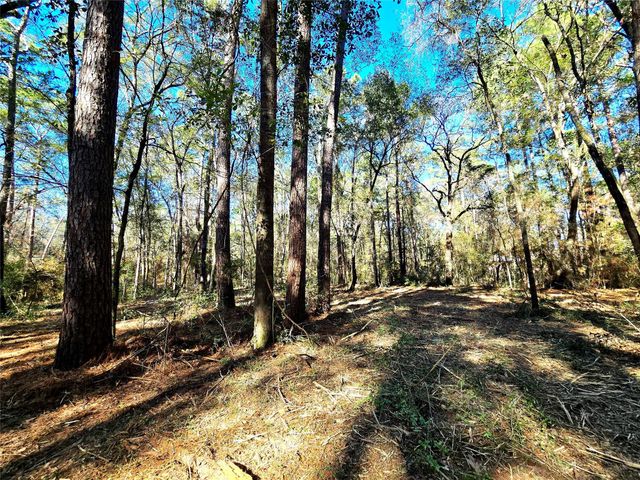 28046 Crossway Oaks, Magnolia, TX 77355