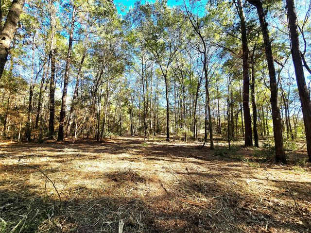 28046 Crossway Oaks, Magnolia, TX 77355