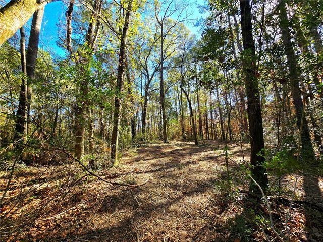 28046 Crossway Oaks, Magnolia, TX 77355