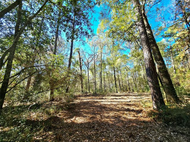 28046 Crossway Oaks, Magnolia, TX 77355